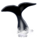 watching, whale Black icon