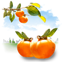 fruits, persimmon LightBlue icon
