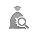 zoom, yen, Bag, Money Gray icon