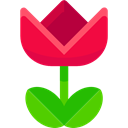 macro, electronics, Multimedia Option, Multimedia, Flower, ui Crimson icon