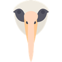 bird, Pray, Animals, wild, wildlife, Albatross, Animal Black icon