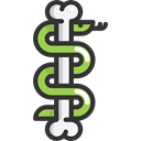 horror, Terror, Animals, Bone, spooky, scary, fear, Animal Kingdom, snake, Dead, halloween Black icon