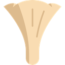Muscaria, Food And Restaurant, food, Mushroom, nature, Fungi Wheat icon