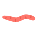 worm, gardening, Farming, Growing, Earthworm, Fertilizer, vermiculture Black icon